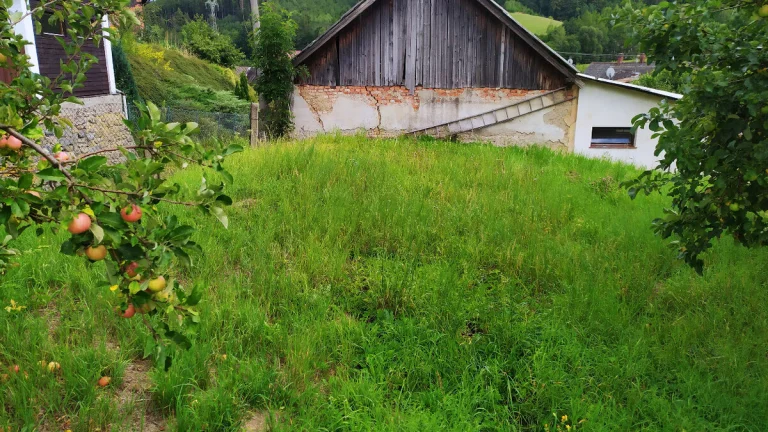 Prodej stavebního pozemku 828 m² v Dlouhomilově