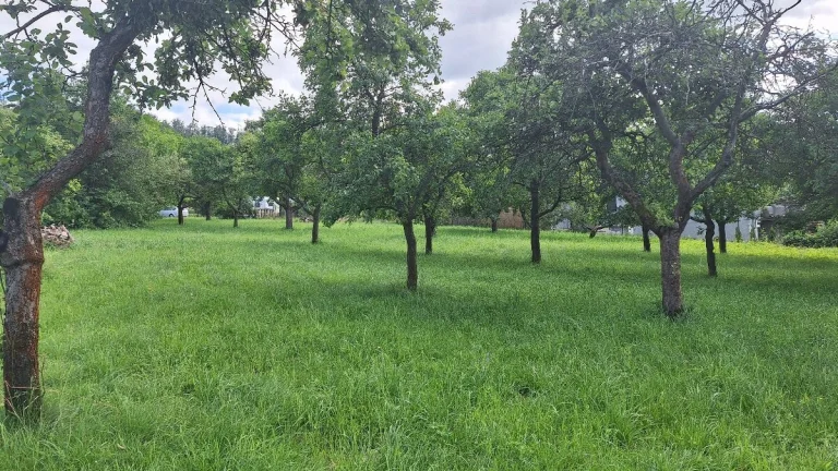 Stavební pozemek
