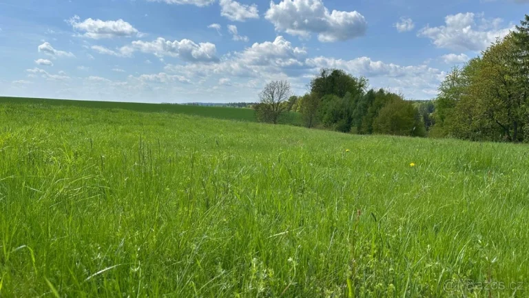 Prodej, lesní pozemek, 32.970 m2, Stolín, Náchod