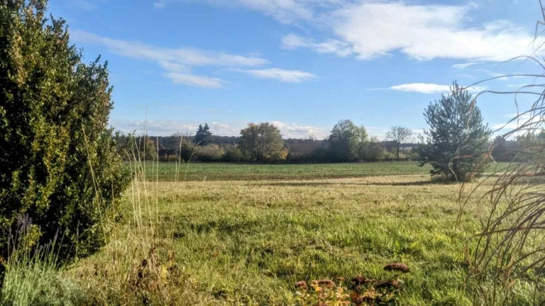 Stavební pozemek 1454 m2, Holičky - Morašice, okres Chrudim