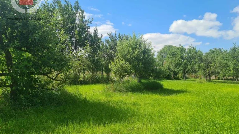 Prodej zahrady ve Veselí nad Moravou, 2999 m2