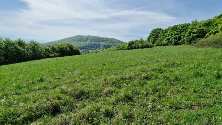 Slnečný pozemok s krásnym výhľadom na Biele Karpaty