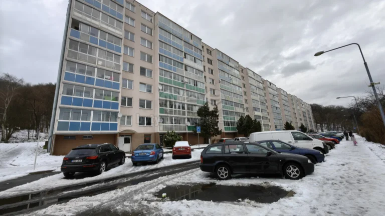 Prodej bytu 4+1, 82 m², Litvínov, ul. Luční