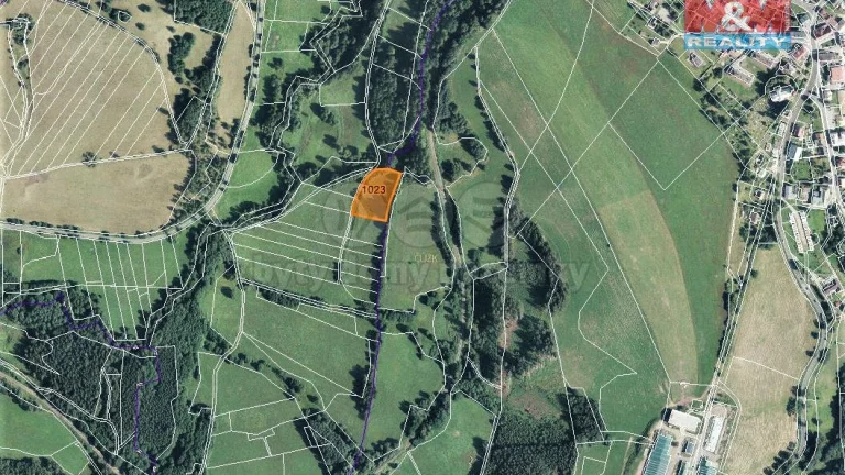 Prodej pole, 4370 m², Bernartice-Křenov u Žacléře