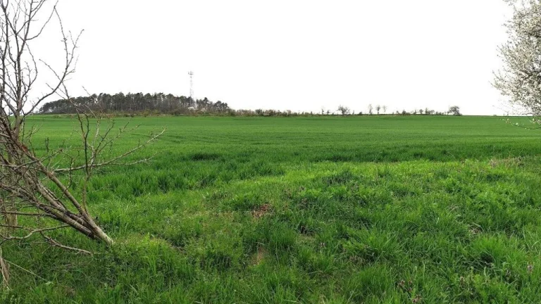 Prodej pozemky pro bydlení, 990 m2 - Slaný - Trpoměchy