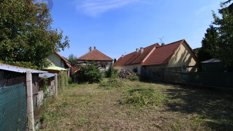 NA PREDAJ - Pozemok so starším domom - Borský Peter