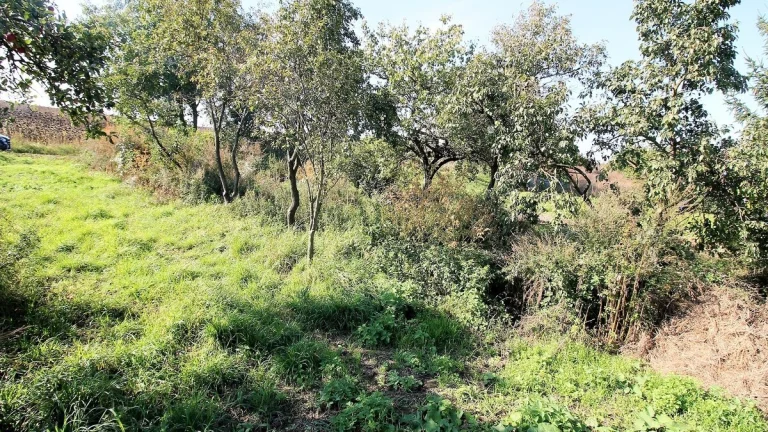 Úvaly u Valtic, pozemek - zahrada, 447m2 - pozemek