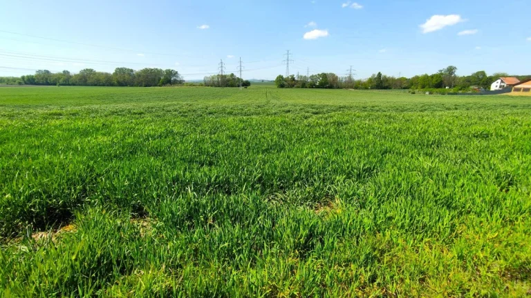 Telnice, pozemek 1.879 m2, investiční potenciál, skvělá dost