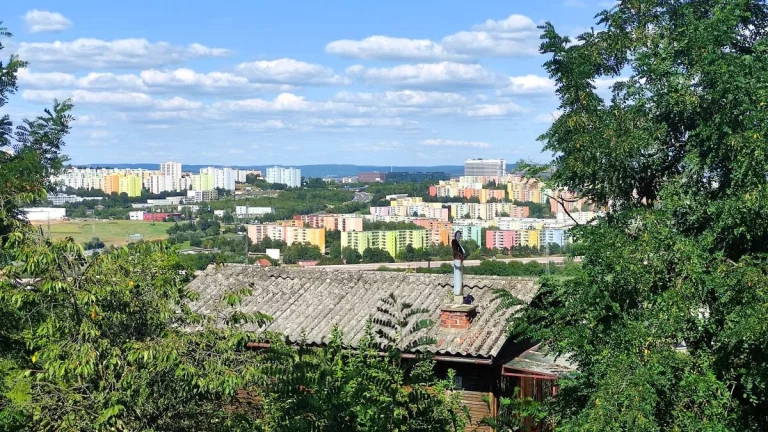 Ostopovice, pozemek - zahrada, 820 m2 - pozemek
