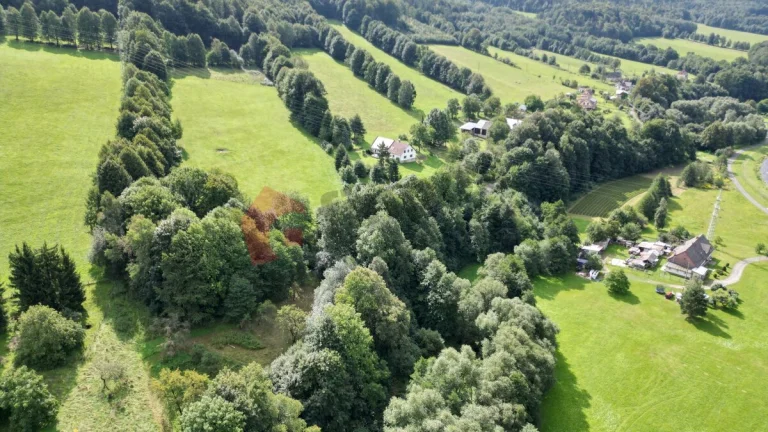 Prodej stavebního pozemku 3433 m2 Písečná, okres Jeseník