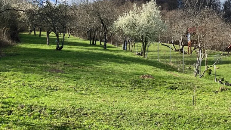 Štiavnické vrchy- záhrada, chalupa