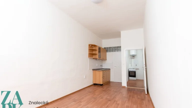 Pronájem bytu 1+kk, 28 m2, ev.č. 01057