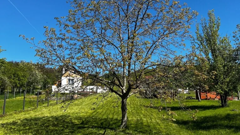 Na predaj pozemok v obci Kaluža