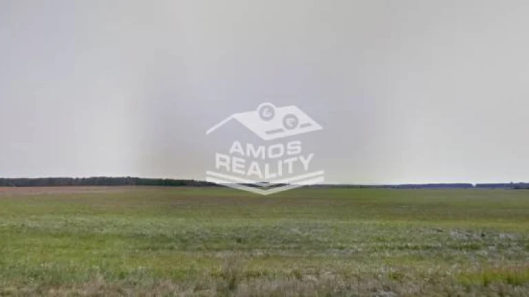 NA PREDAJ lesný pozemok, k.ú. Borský Svätý Jur
