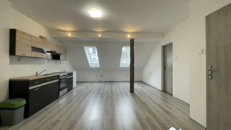 Pronájem, Byt 2+kk, 47m2, Brusné