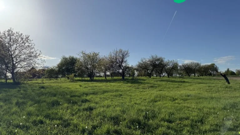 Stavební pozemek Syrovice