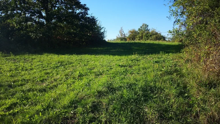 Predam pozemok o veľkosti 7609m2 Krupina časť Kopanice - 13.