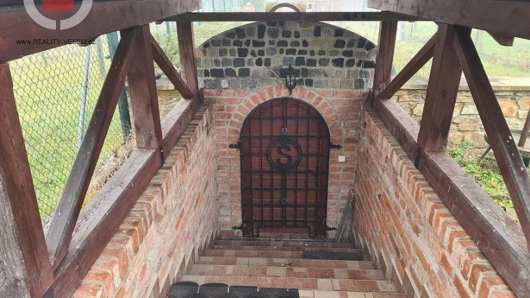 Prodám pozemek s vinohradem